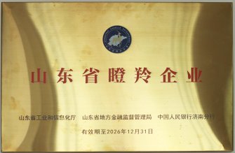 山东省瞪羚企业